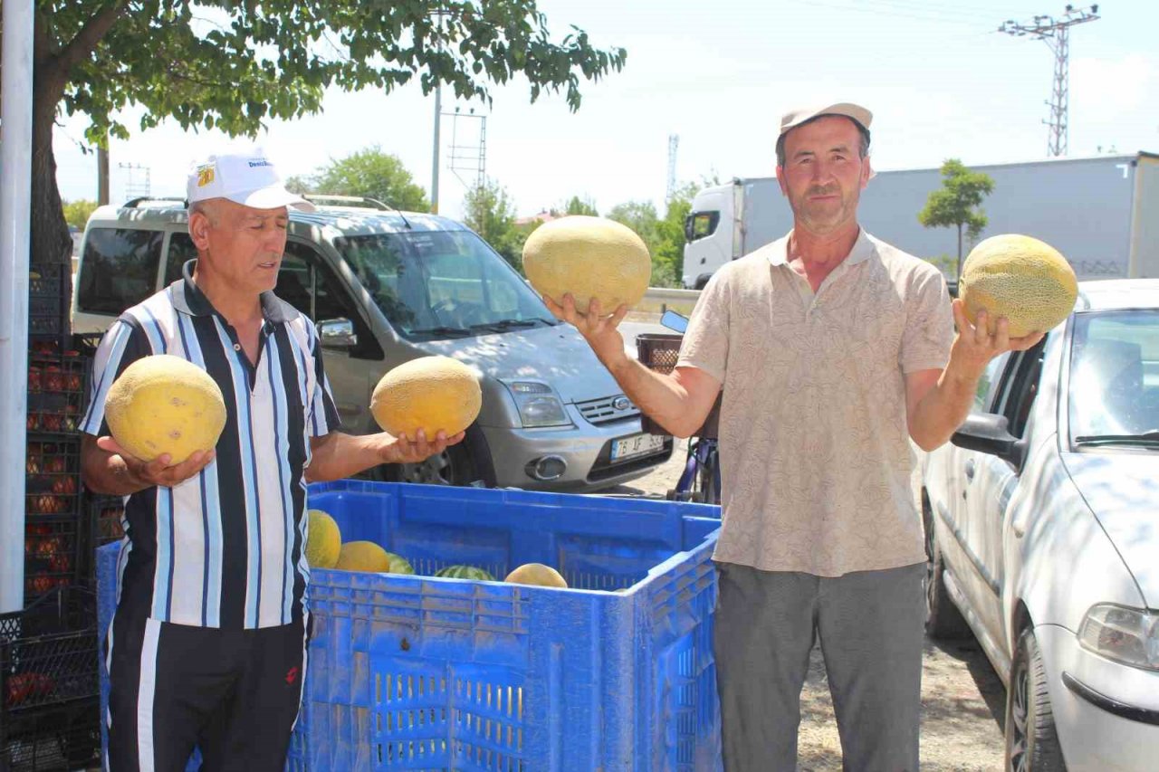 Iğdır’da yetiştirilen sebze ve meyveler il dışına satılıyor