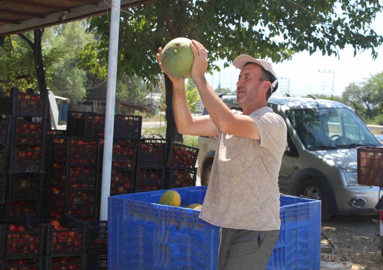 Iğdır’da yetiştirilen sebze ve meyveler il dışına satılıyor