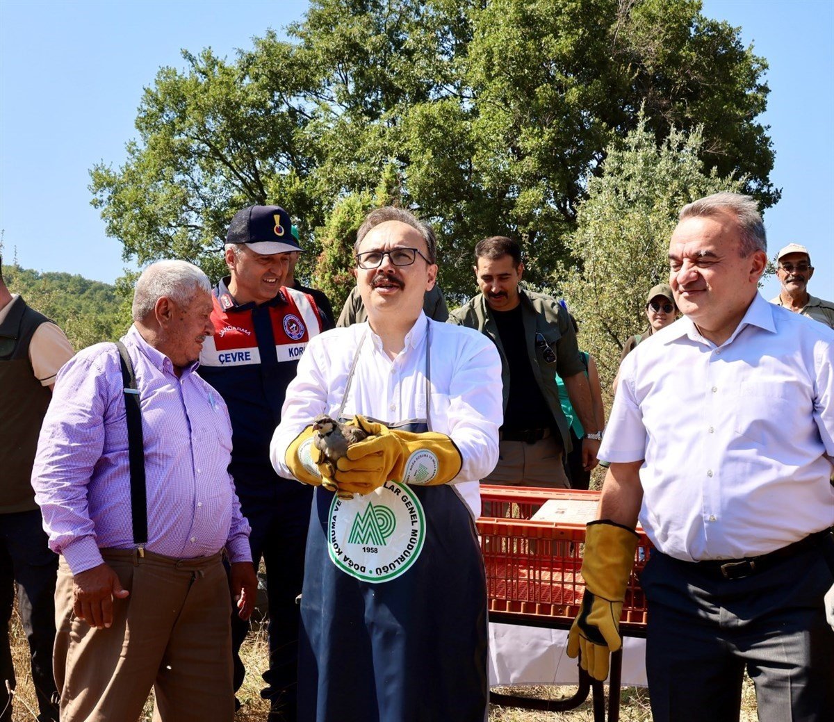 400 kınalı keklik doğaya salındı