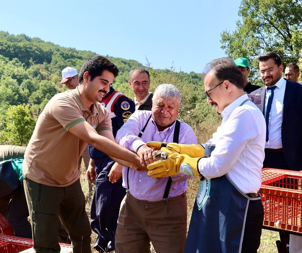 400 kınalı keklik doğaya salındı