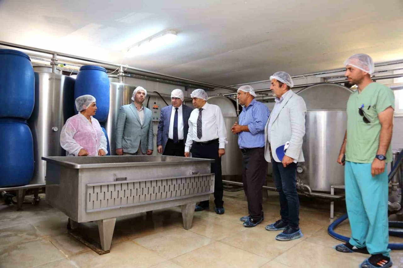 ADÜ Rektörü Kent, sahaya indi; Ziraat Fakültesi’nde incelemelerde bulundu