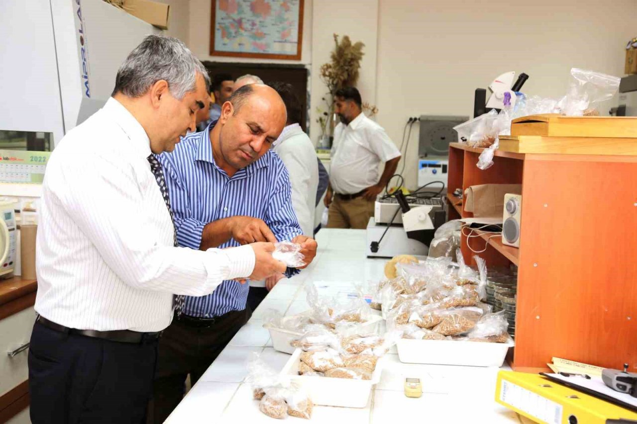 ADÜ Rektörü Kent, sahaya indi; Ziraat Fakültesi’nde incelemelerde bulundu