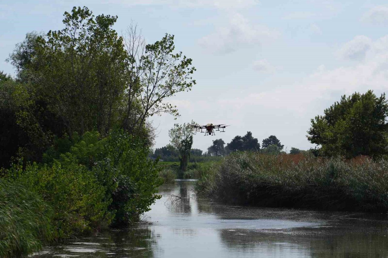Drone ile sinek avı