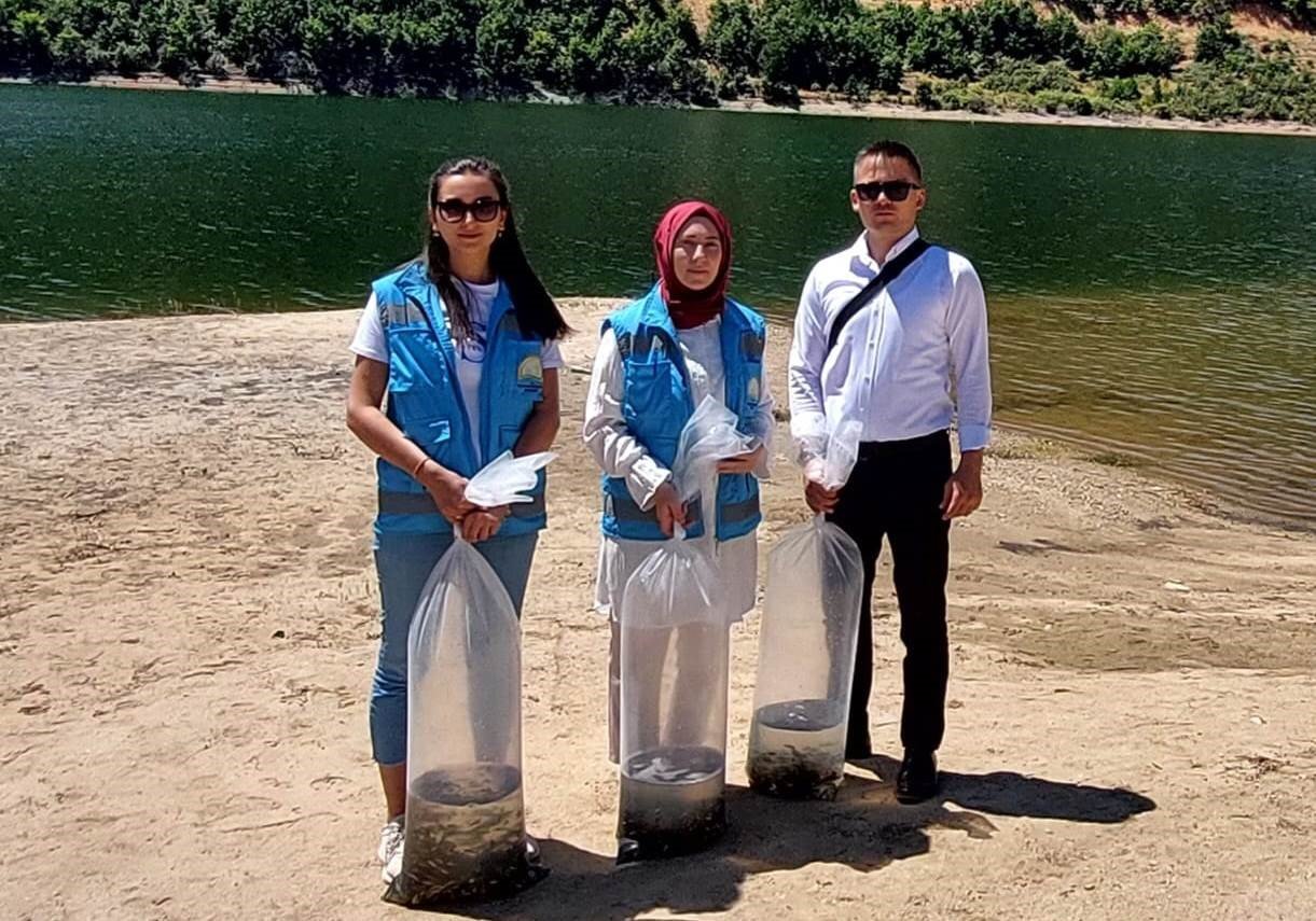 Hisarcık’ta baraj ve göletlere 60 bin yavru sazan balığı bırakıldı
