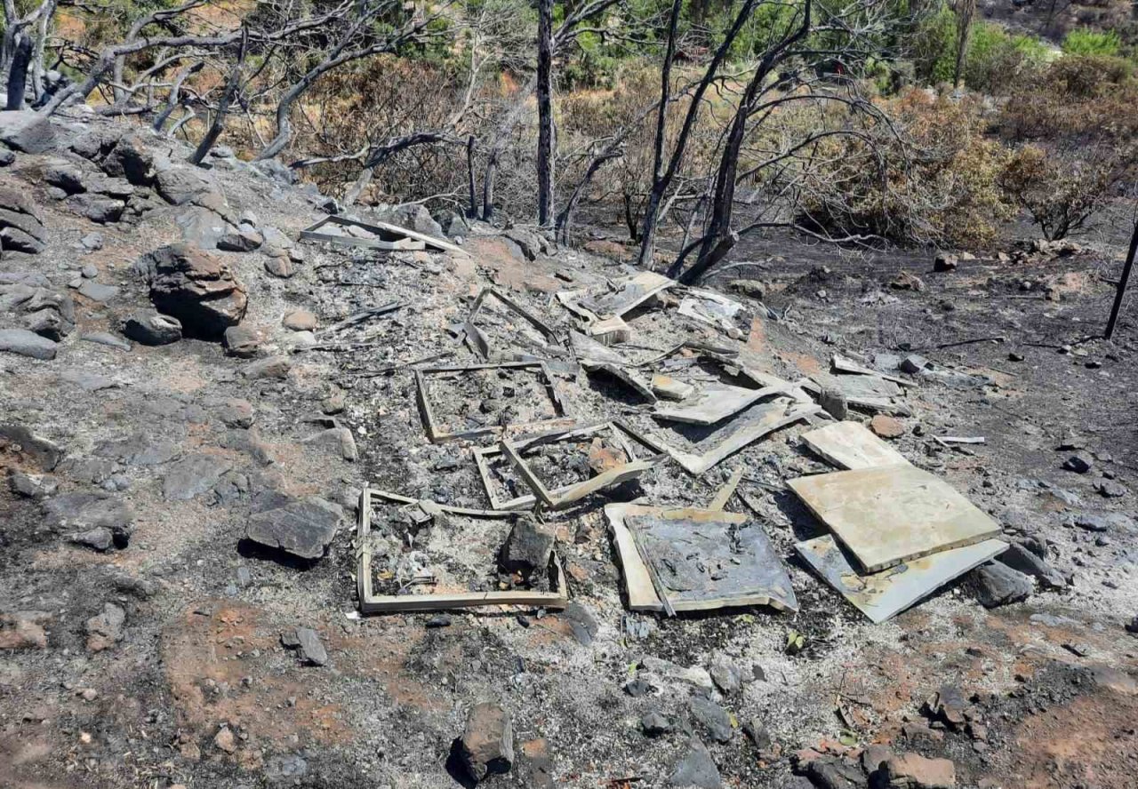 Orman yangını, 10 yıllık emeği yaktı binlerce arısı telef oldu