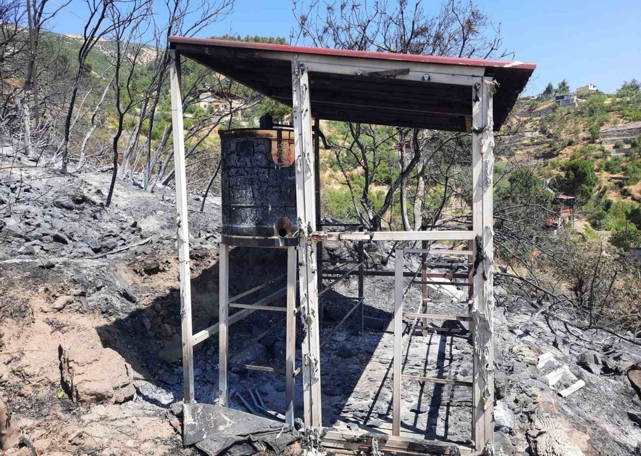 Orman yangını, 10 yıllık emeği yaktı binlerce arısı telef oldu