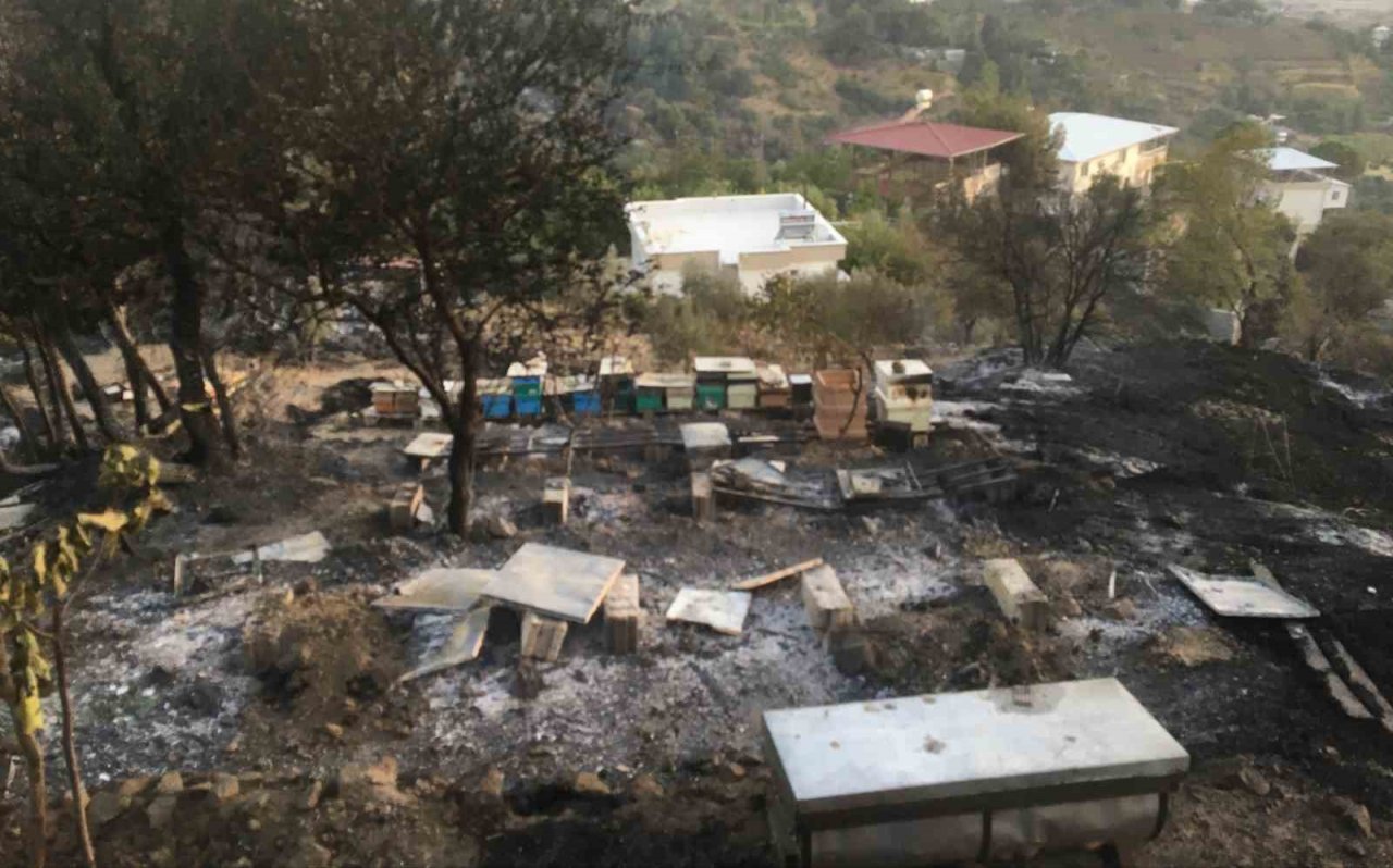 Orman yangını, 10 yıllık emeği yaktı binlerce arısı telef oldu