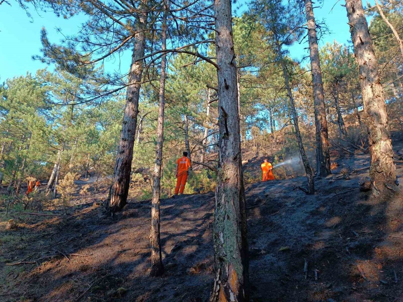 Örtü altı yangınında 2,5 dönüm alan zarar gördü