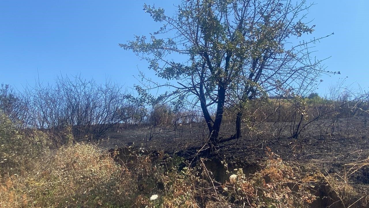 Otluk alanda çıkan yangın 20 dönüm alanı küle çevirdi