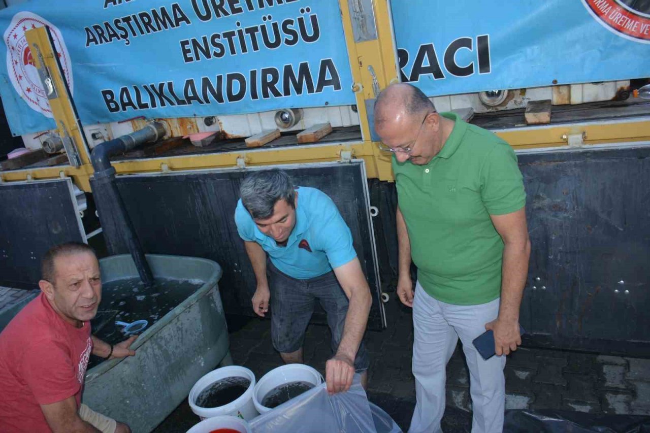 Kütahya’da su kaynaklarına 1 milyon yavru sazan balığı bırakıldı
