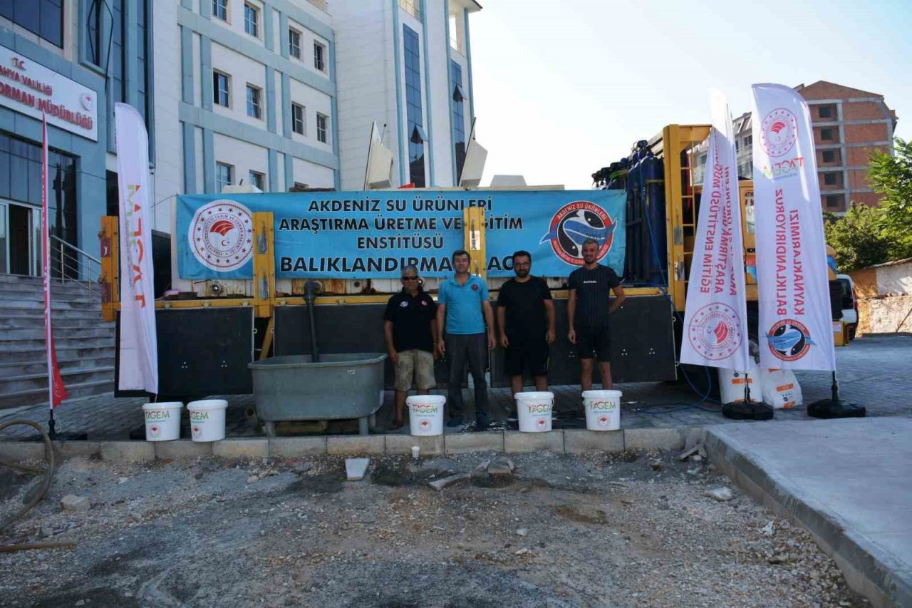 Kütahya’da su kaynaklarına 1 milyon yavru sazan balığı bırakıldı