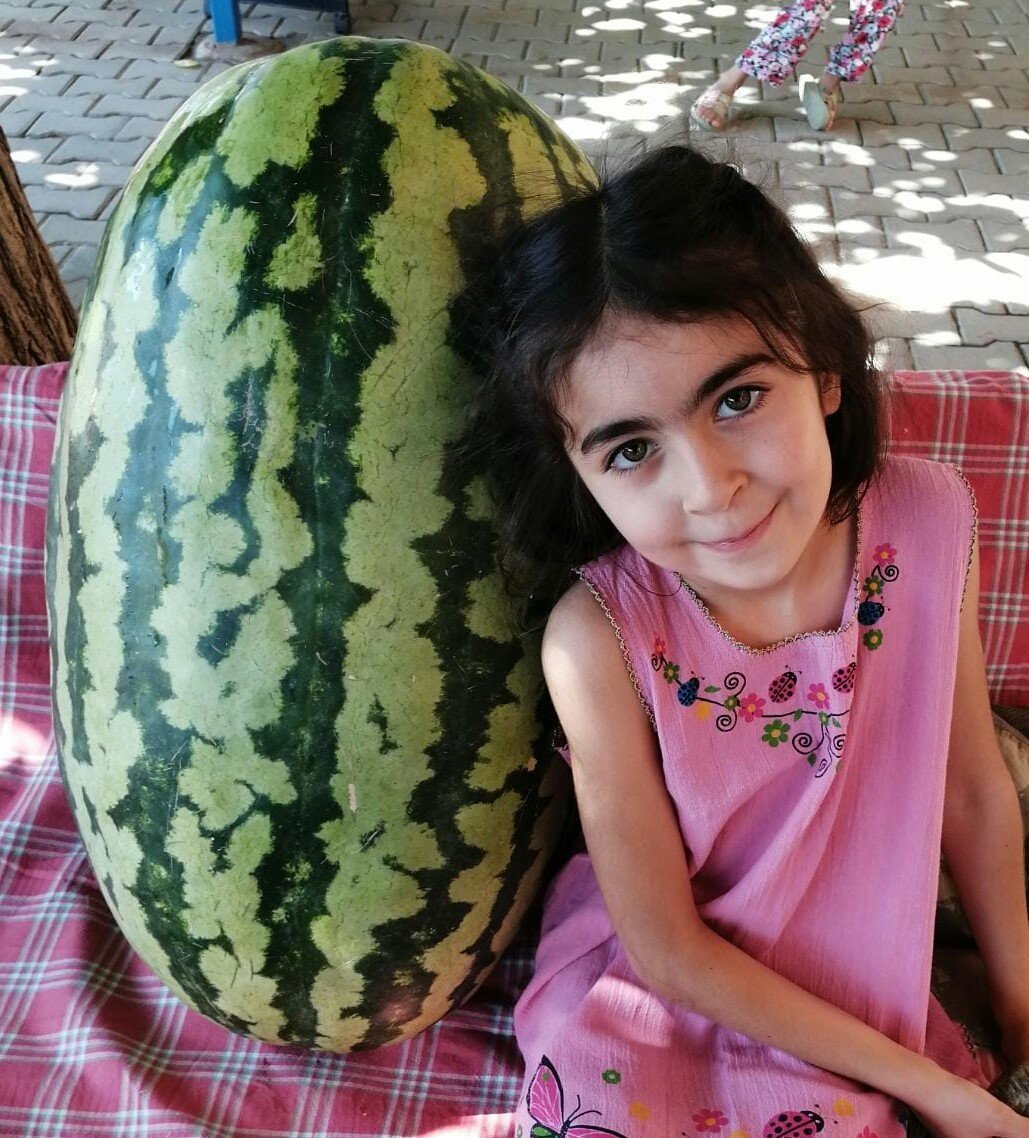 Sarıgöllü üretici devasa karpuz yetiştirdi