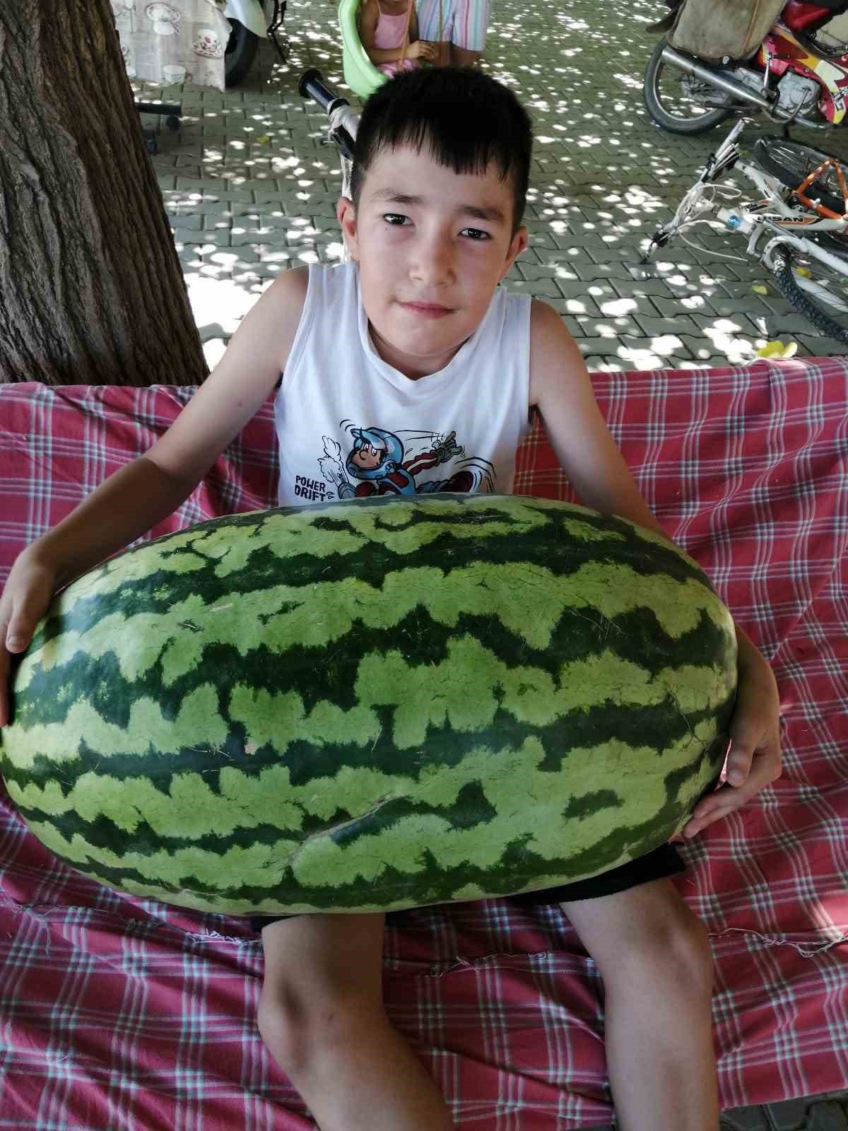 Sarıgöllü üretici devasa karpuz yetiştirdi