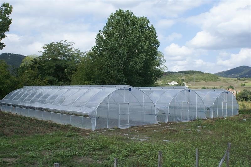 Ordu’da örtü altı yetiştiriciliği 9 yılda yüzde 80 arttı