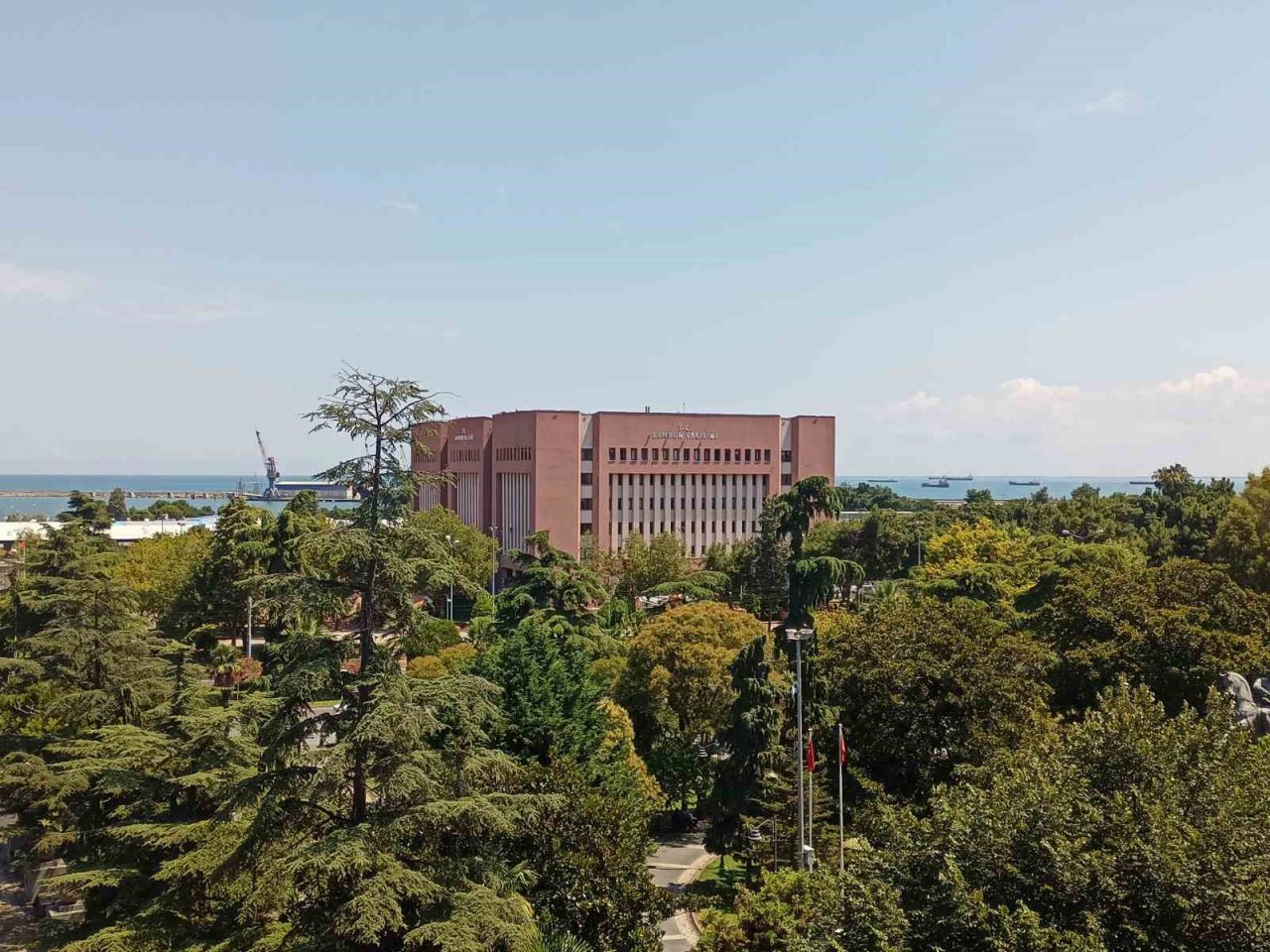 Samsun Valiliği’nden ‘sokak hayvanları’ kararı