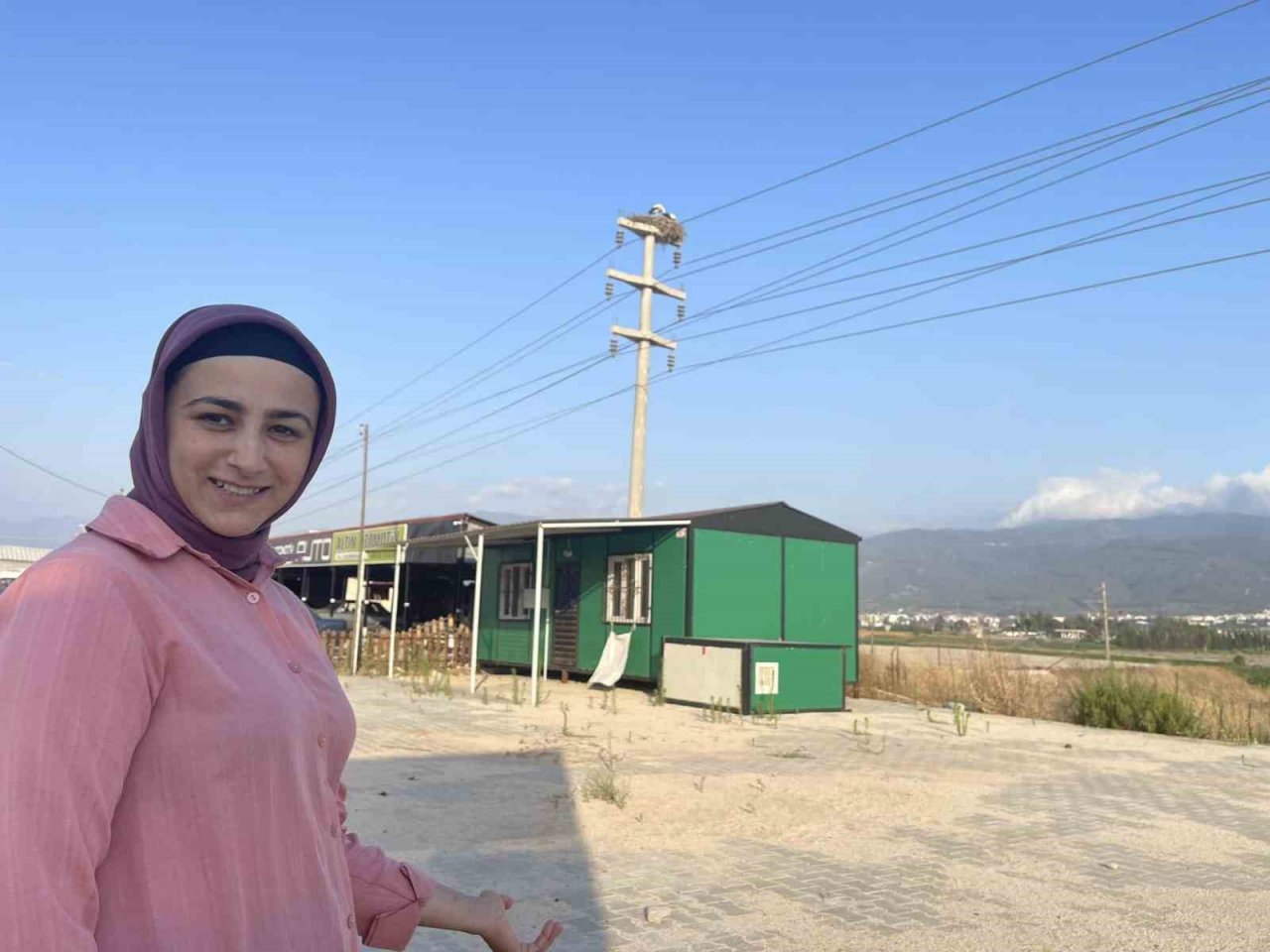 Leylekler yavrularını güneşten korumak için onlara gölge oluyor