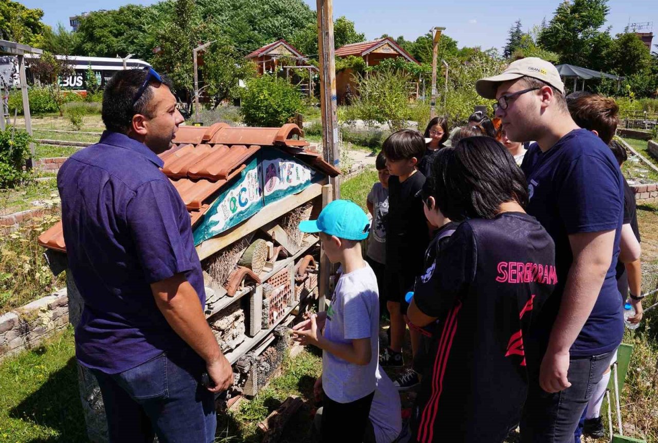 İklim İzcileri yaz mevsimini verimli geçiriyor