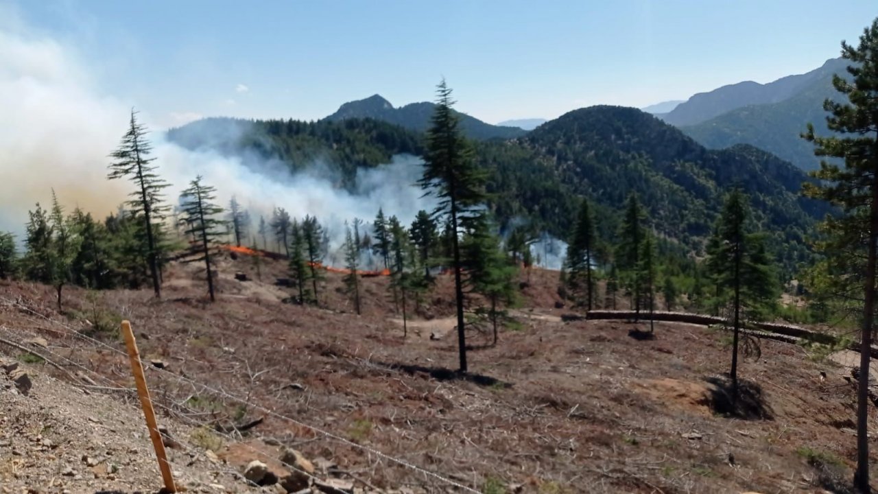Adana Feke’deki orman yangını kontrol altına alındı