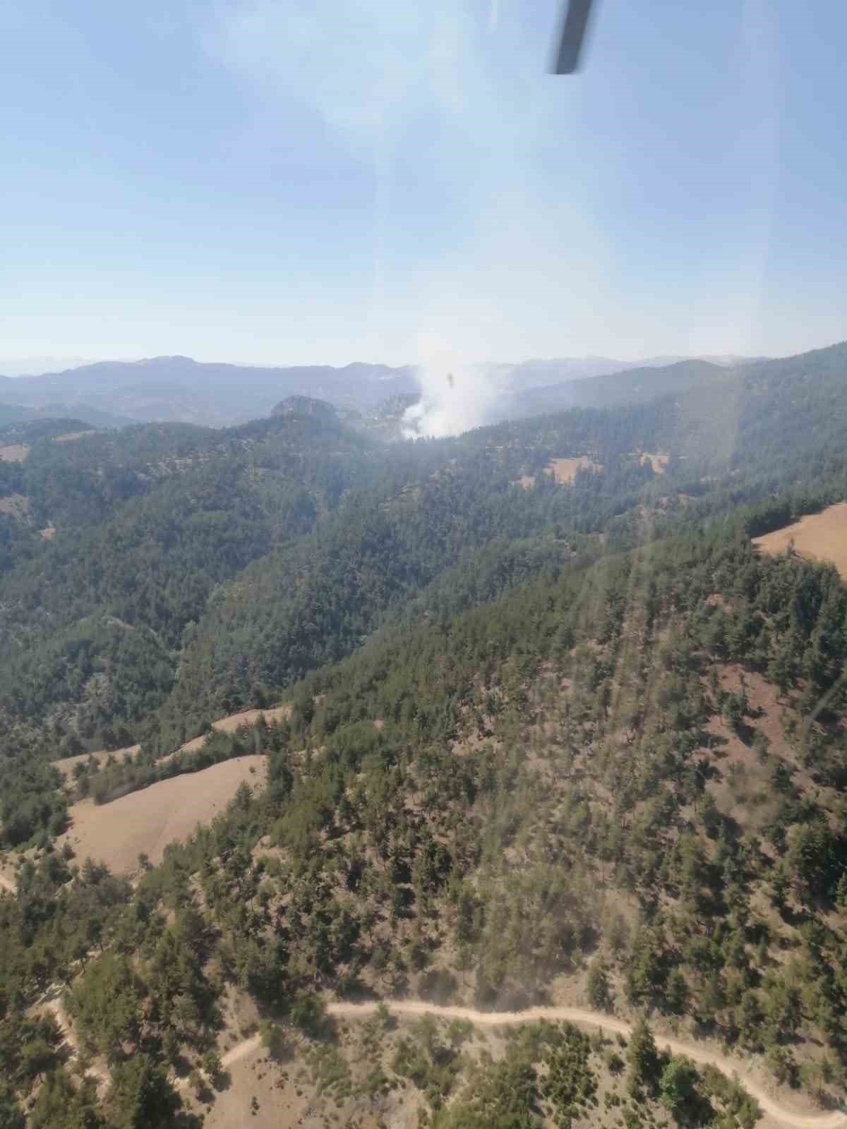 Feke’de orman yangını