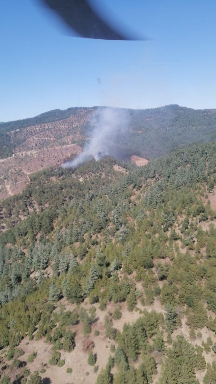 Feke’de orman yangını