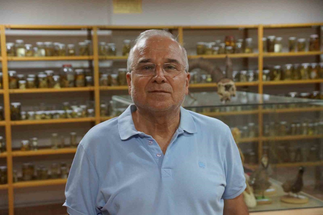 Prof. Dr. Olgun: "Pandemi yılanların sayısını artırdı"