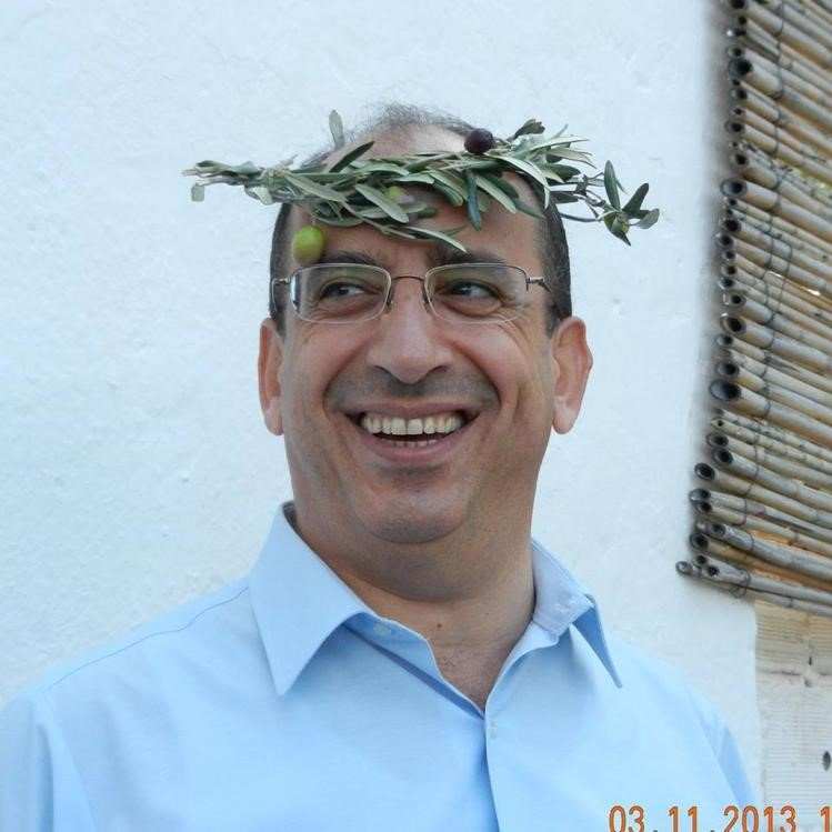 Zeytin ağaçlarını iklim değişikliği vurdu