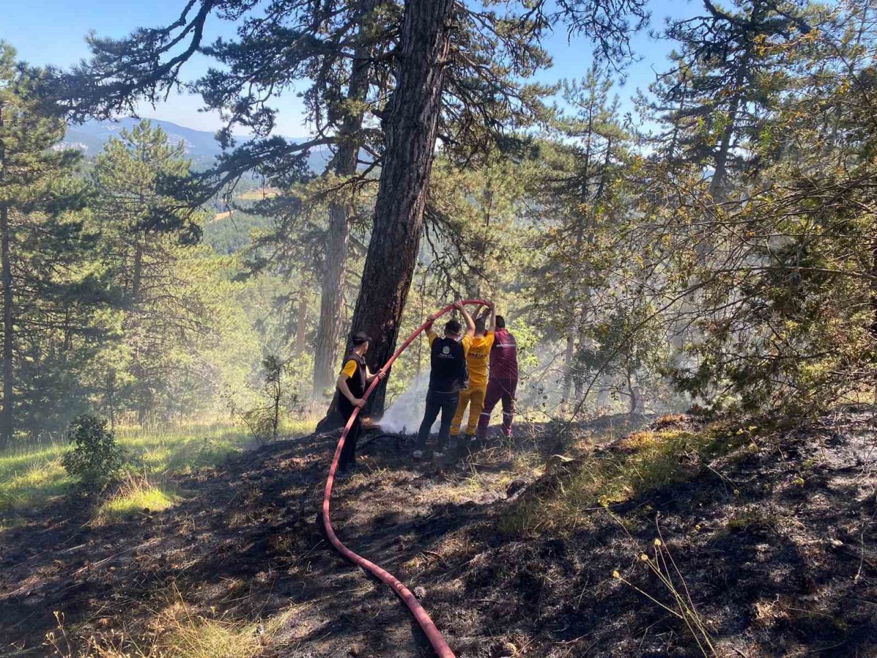 Bolu’da orman yangını büyümeden söndürüldü