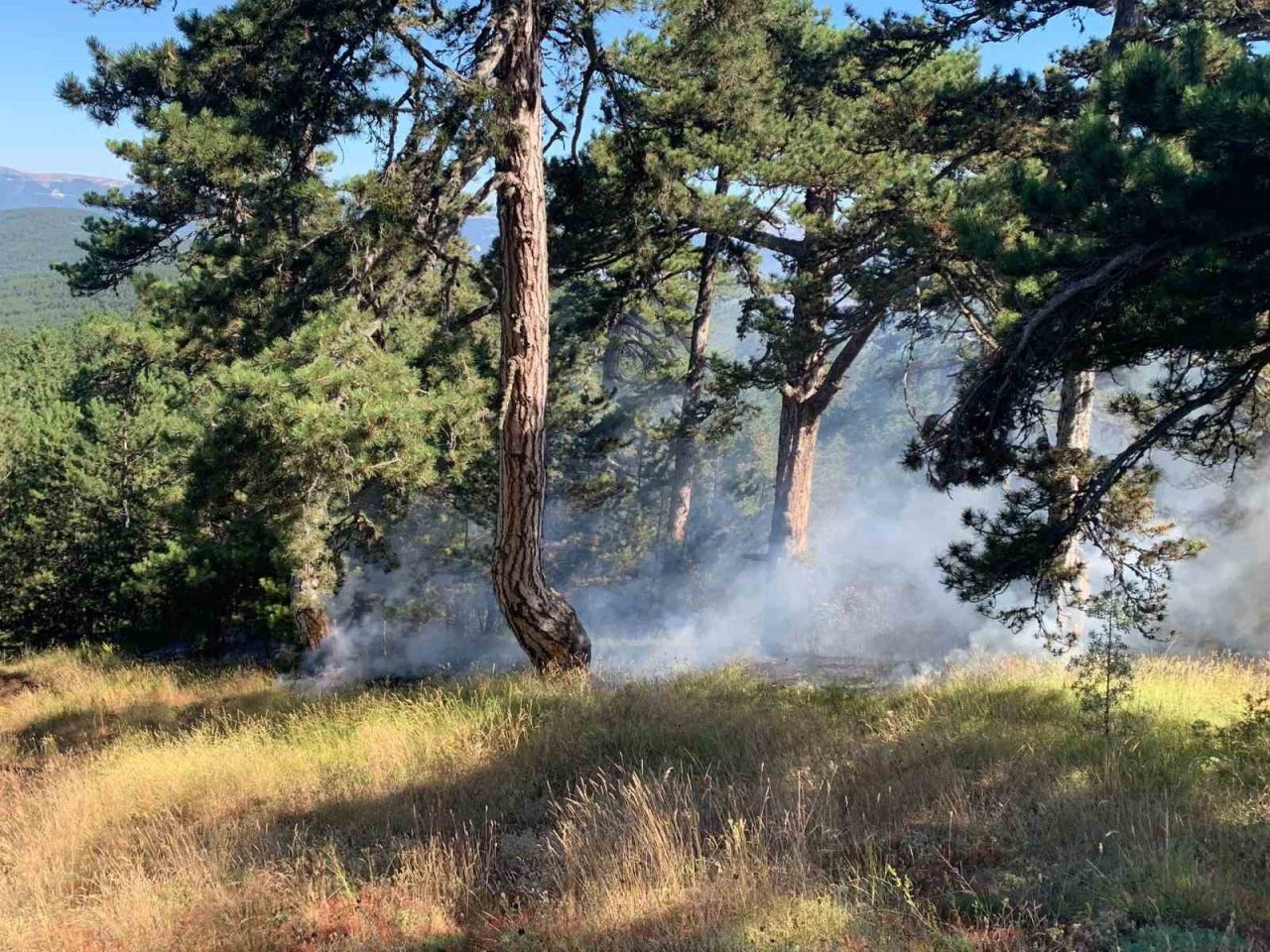 Bolu’da orman yangını büyümeden söndürüldü