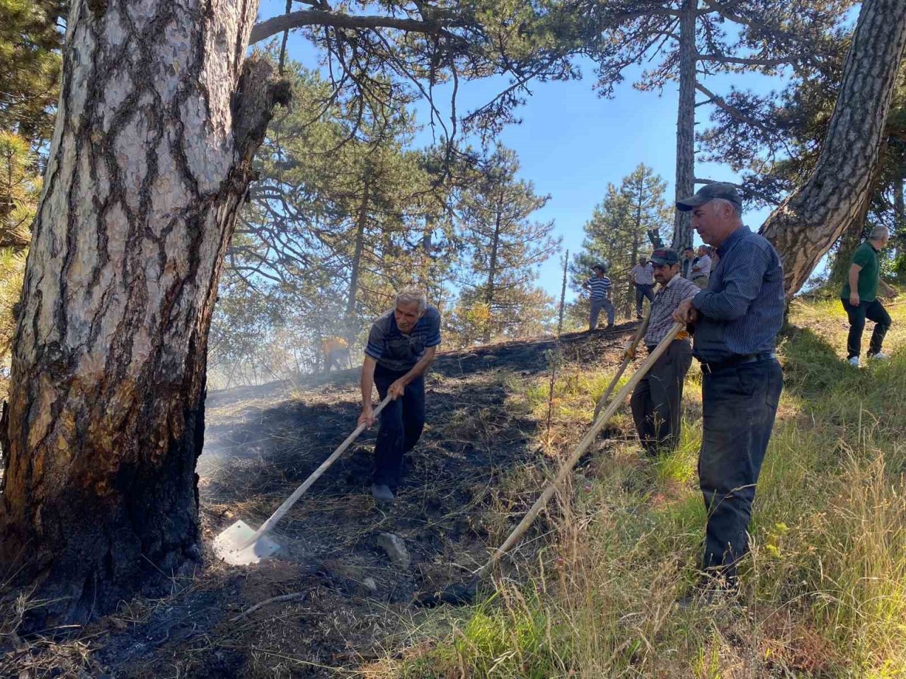 Bolu’da orman yangını büyümeden söndürüldü