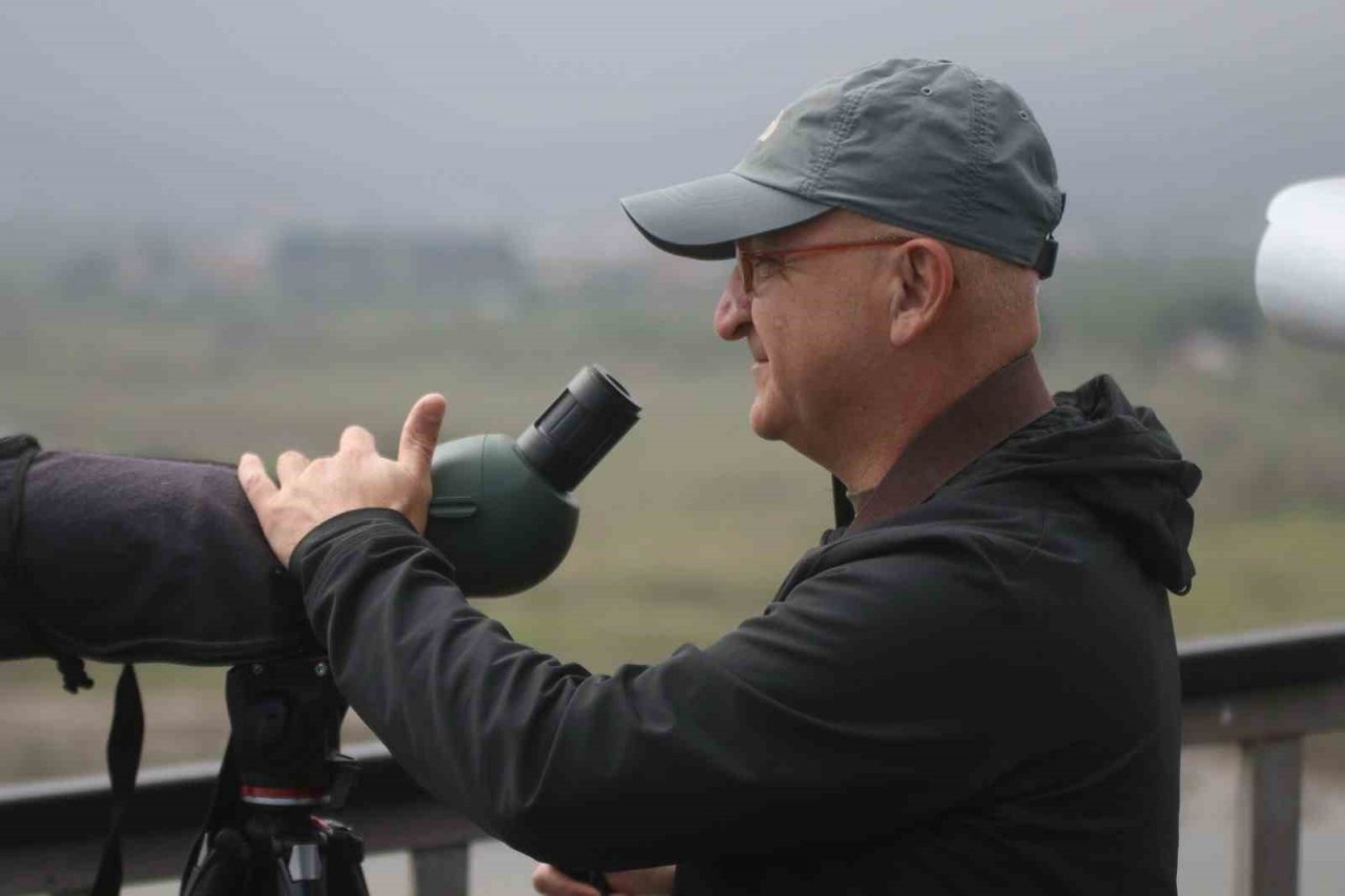 İshak kuşu en küçük baykuş türü olarak kayıtlara geçti