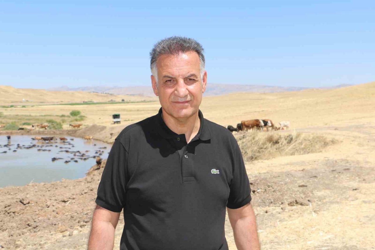 Diyarbakır’da Afrika’yı aratmayan görüntü