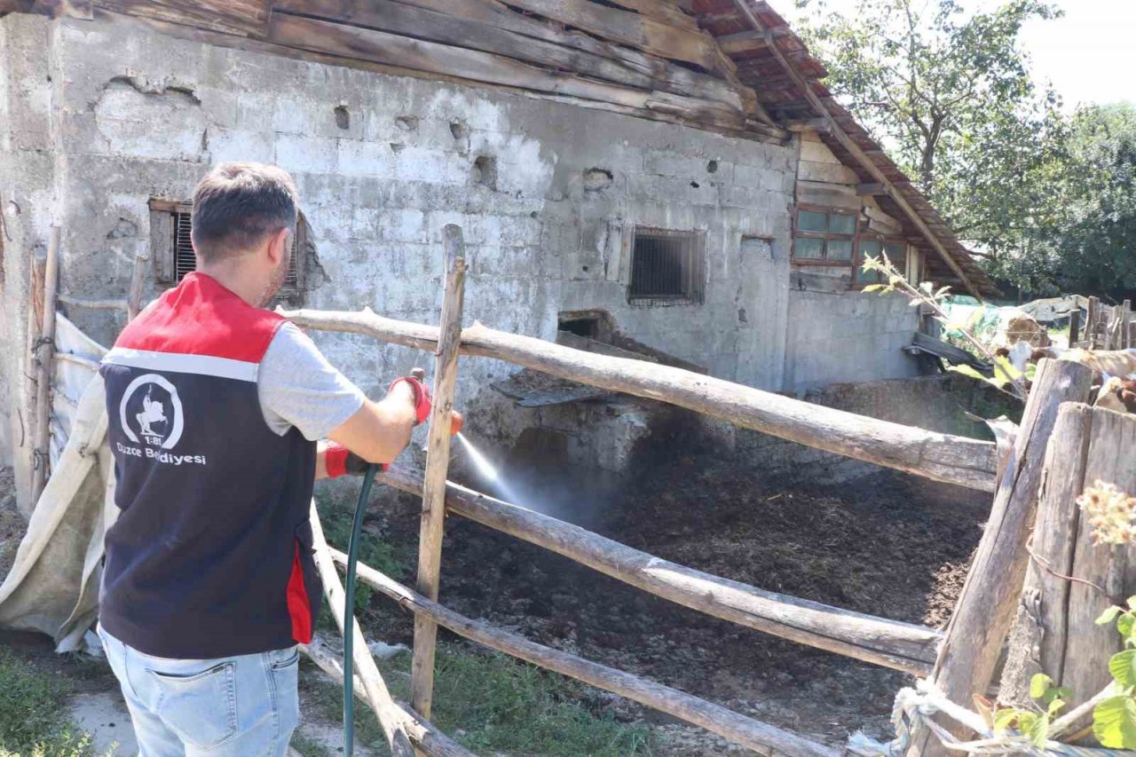 Kalıcı su birikintilerine dikkat