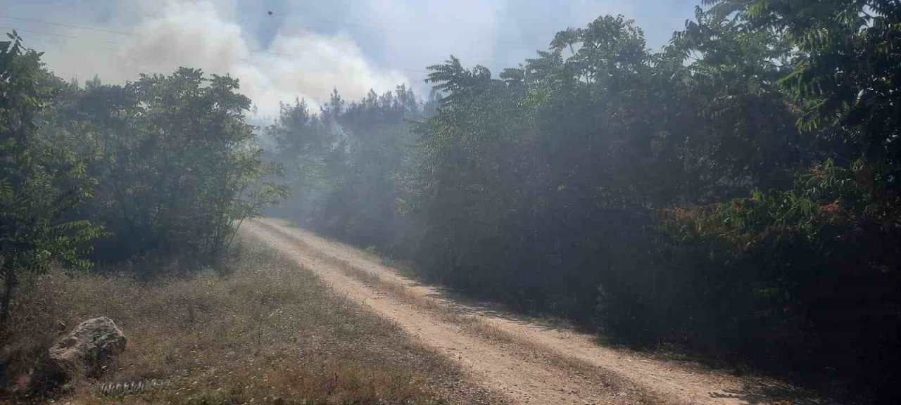 Amasya’da çıkan yangın ormanlık alana sıçradı