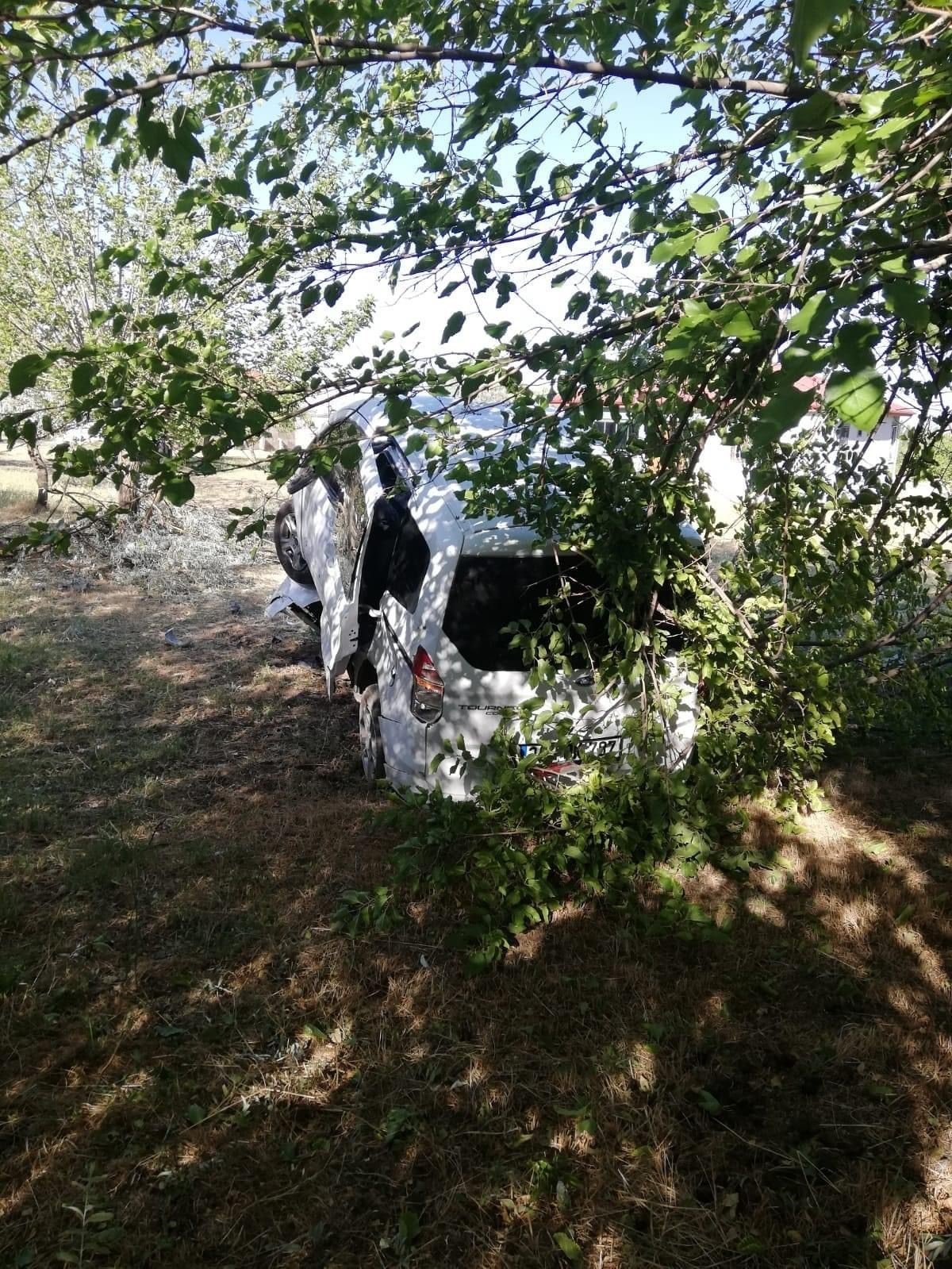 Sürücü kontrolünü kaybetti, ağacı kıran araç asılı kaldı