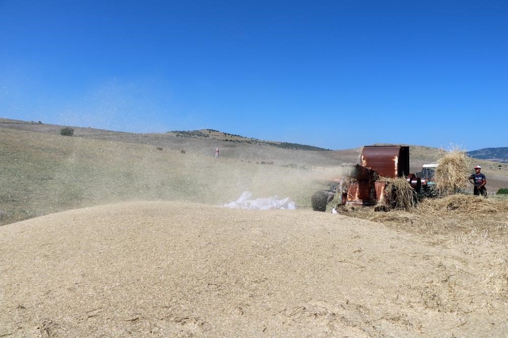 36 derecede kışlık yem mücadelesi