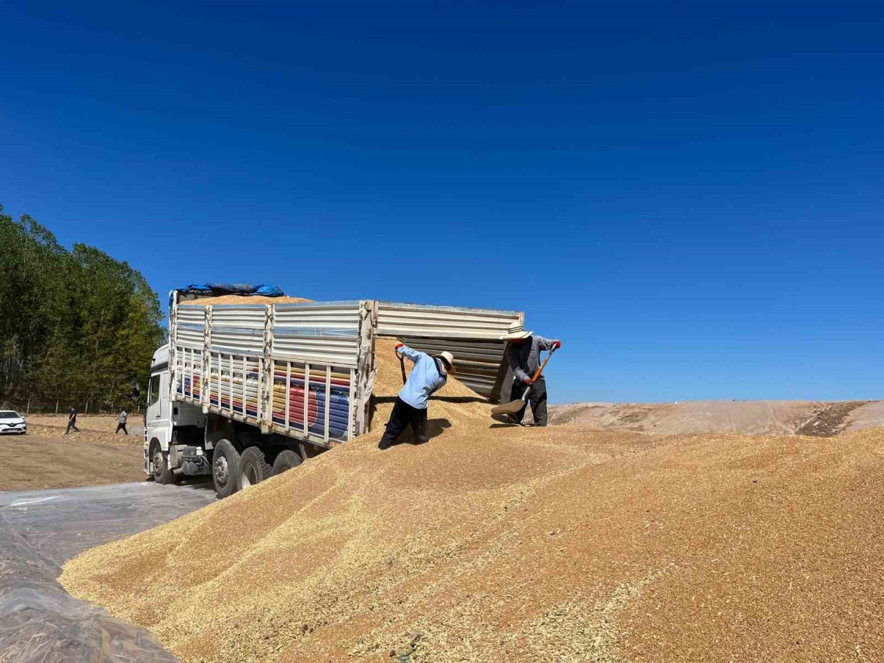 TMO hububat alımında rekor kırdı