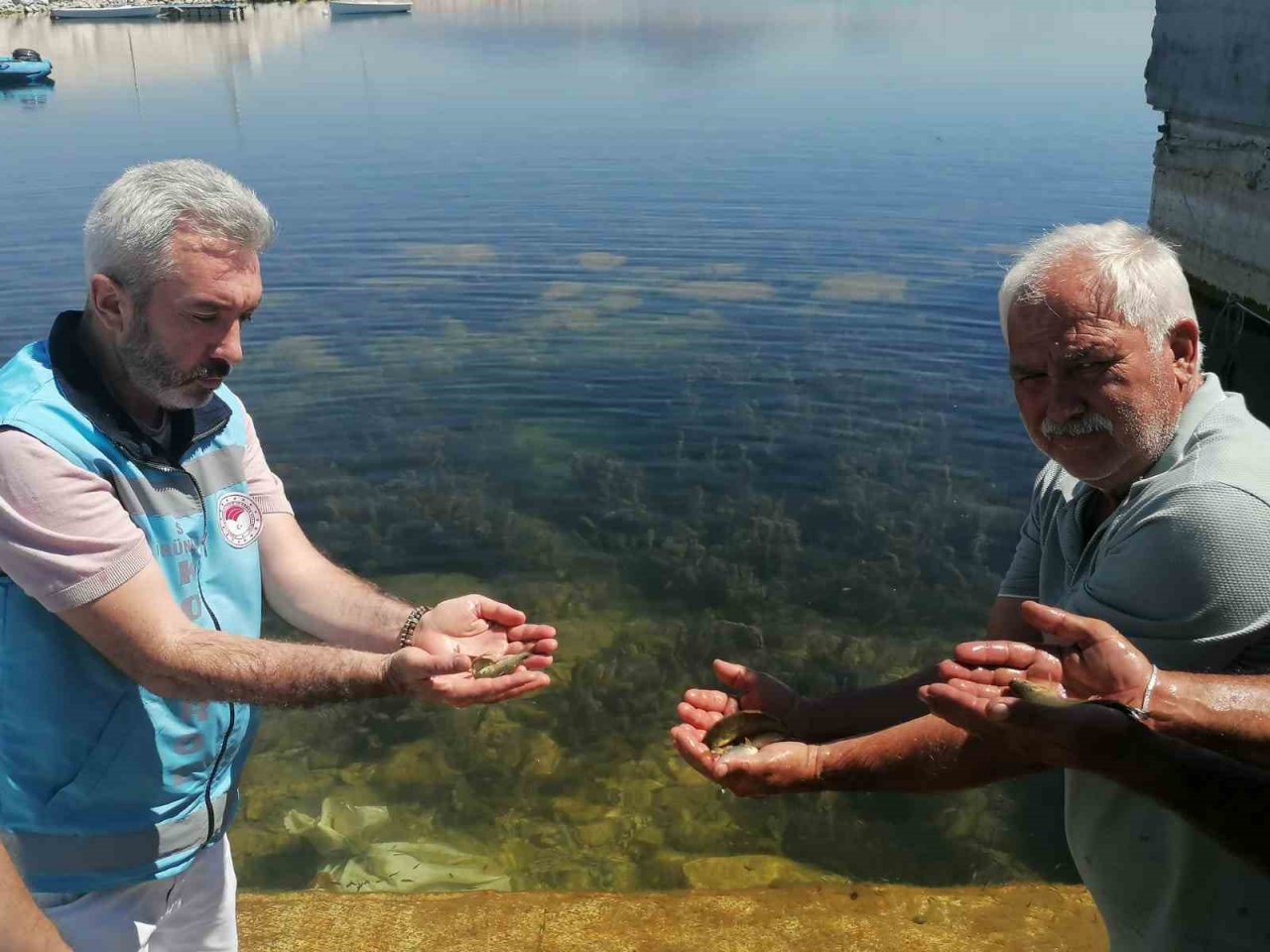 Eğirdir Gölü’ne 1 milyon adet sazan yavrusu bırakıldı