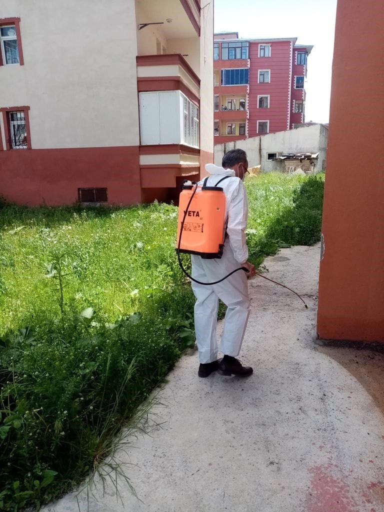 Kars Belediyesi parka ve bahçeleri ilaçlıyor