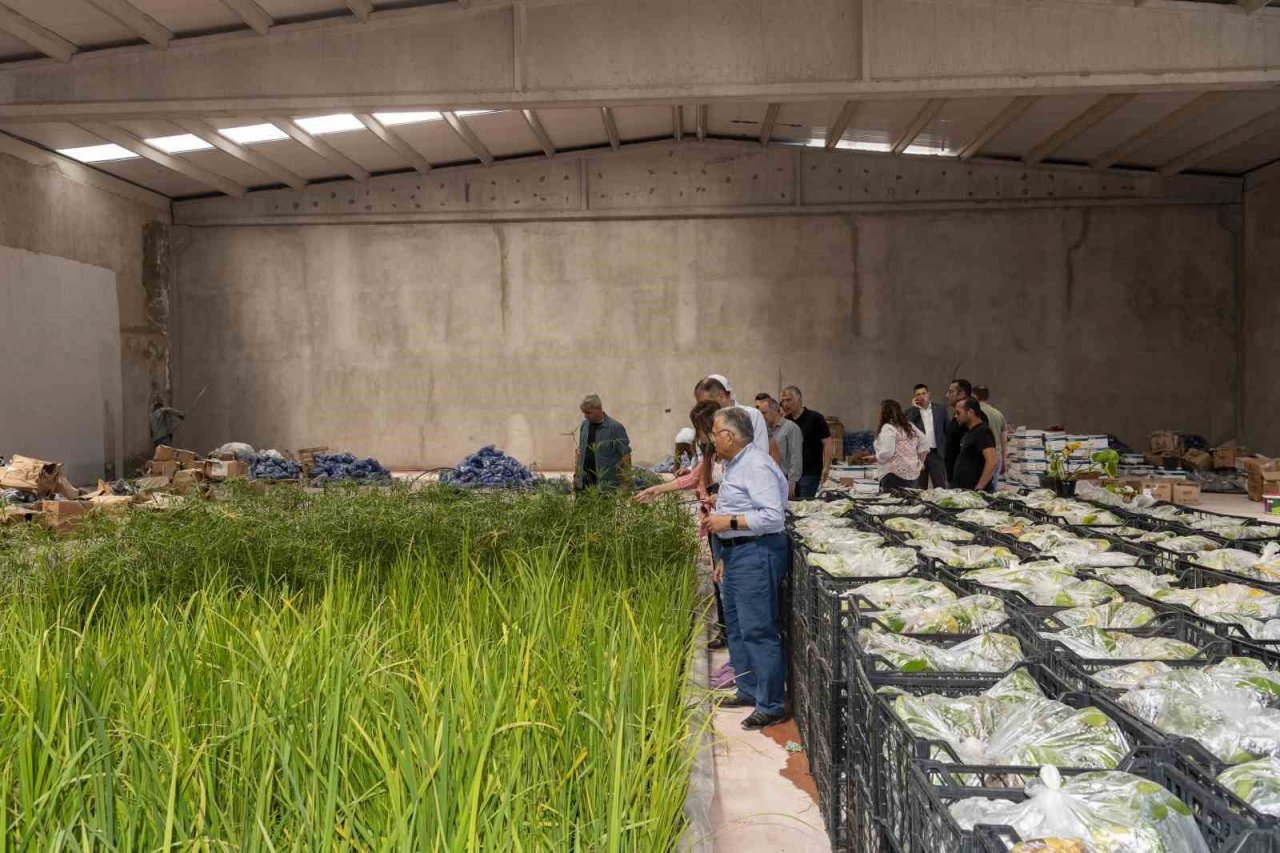 Recep Tayyip Erdoğan Millet Bahçesi’nde İnceleme