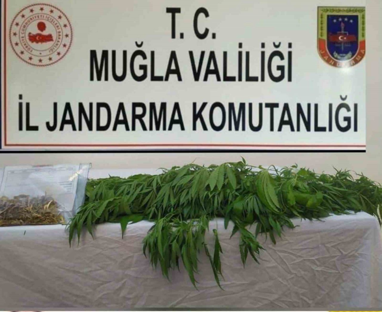 Muğla’nın 7 ilçesinde uyuşturucu operasyonu