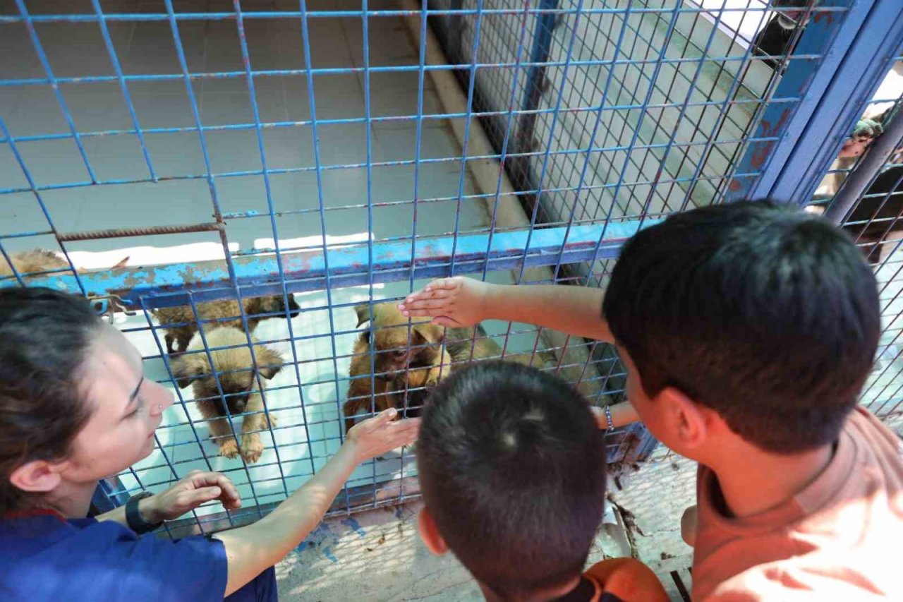 Bodrum’da öğrenciler can dostlar ile bir araya geldi