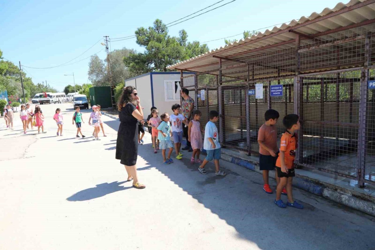 Bodrum’da öğrenciler can dostlar ile bir araya geldi