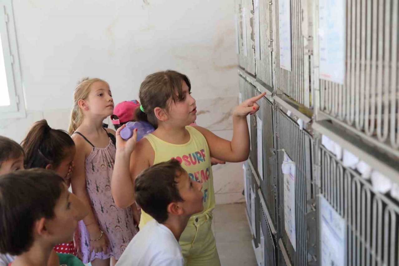 Bodrum’da öğrenciler can dostlar ile bir araya geldi