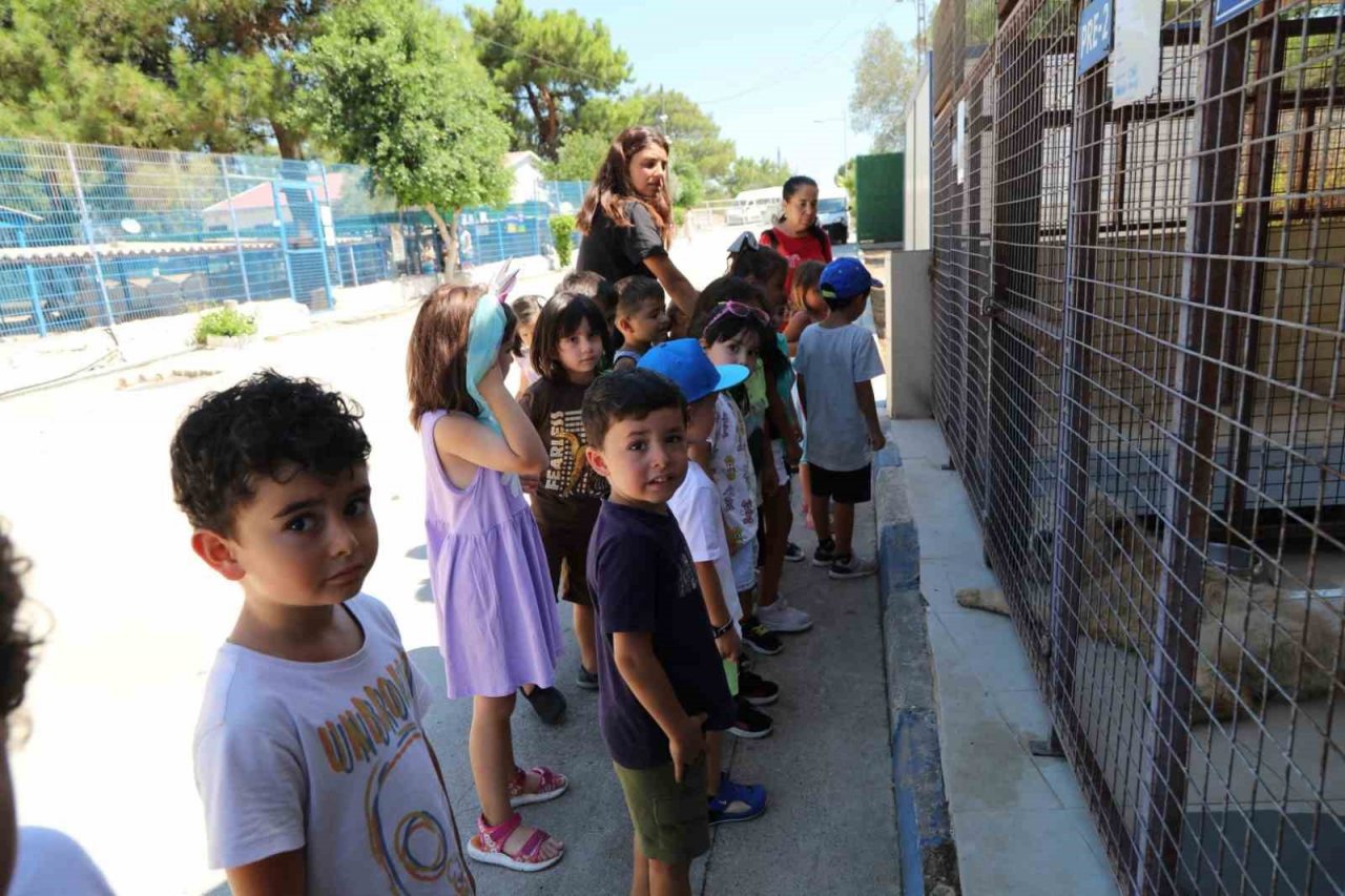 Bodrum’da öğrenciler can dostlar ile bir araya geldi