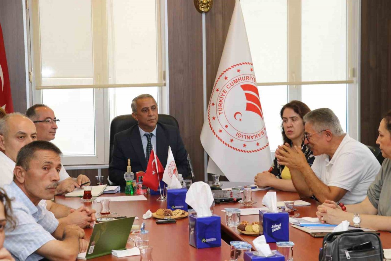 Samsun, salep üretim havzasına dönüşecek