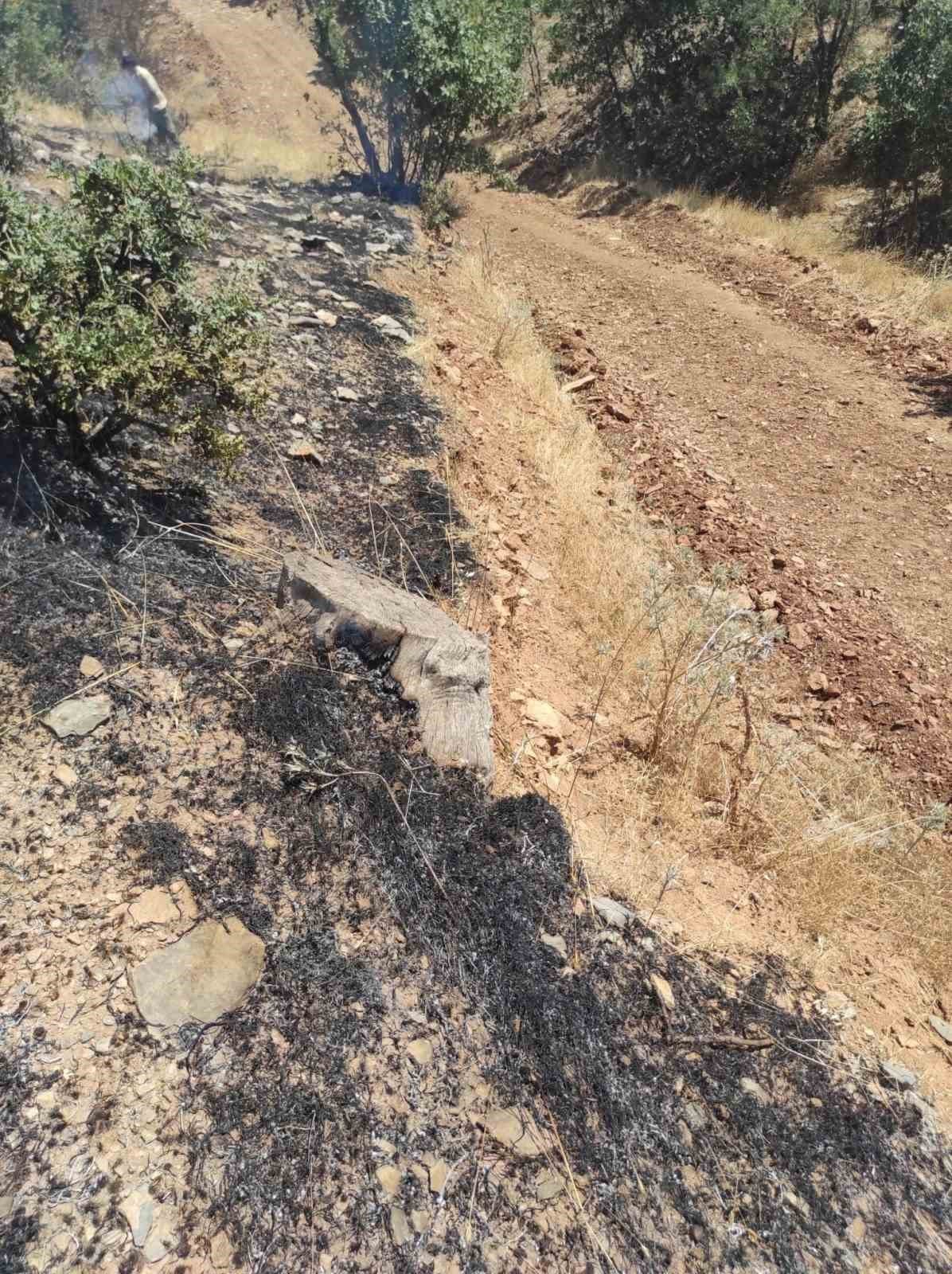 Siirt’te ormanlık alanda çıkan yangın söndürüldü