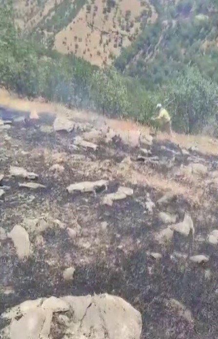 Siirt’te ormanlık alanda çıkan yangın söndürüldü