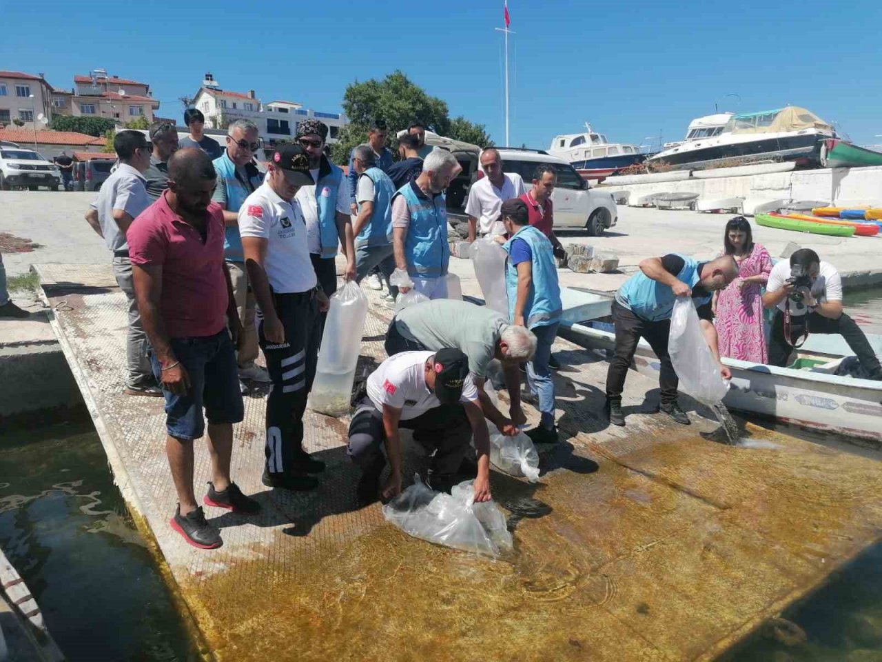 Eğirdir Gölü’ne 1 milyon adet sazan yavrusu bırakıldı