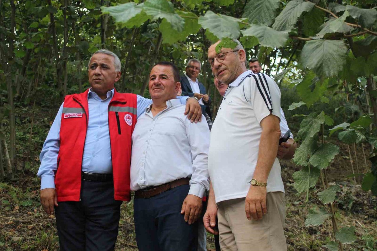 Fındıkta rehabilitasyon çalışmaları