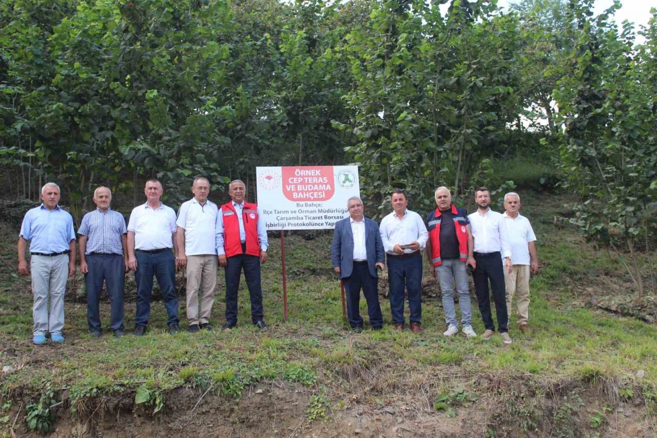 Fındıkta rehabilitasyon çalışmaları